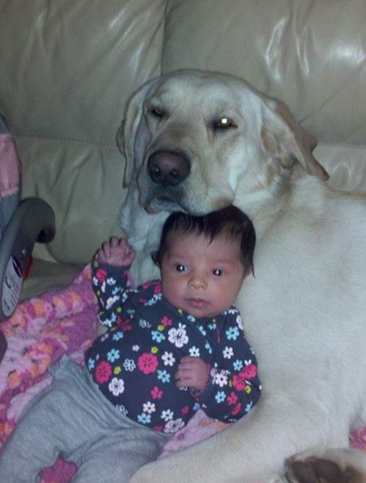 Human-animal bond — baby and dog